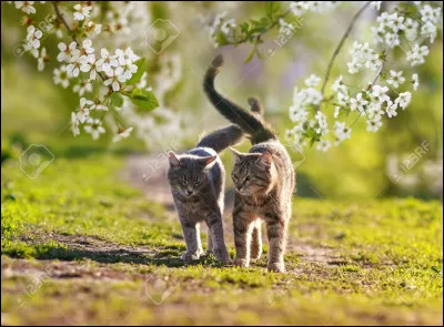 Quelle serait ta réaction en voyant ton compagnon ou ta compagne avec un(e) autre ?