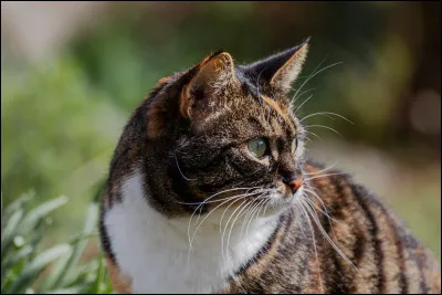 Quelle serait la pire chose, dans LGDC, pour toi ?