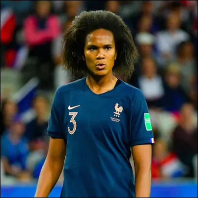 Est-ce que c'est un renard ?