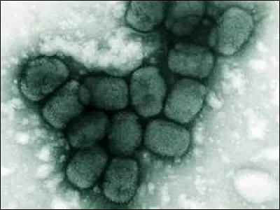 Chez les adultes, combien de malades décédaient de la variole ?