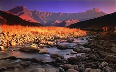 L'eau est plus légère sous sa forme liquide que sous sa forme solide !