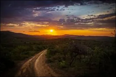 En 10 ans seulement, toutes les cellules de votre corps se sont régénérées !