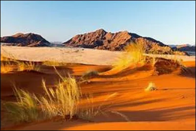 Le cerveau des hommes est généralement plus jeune que celui des femmes !