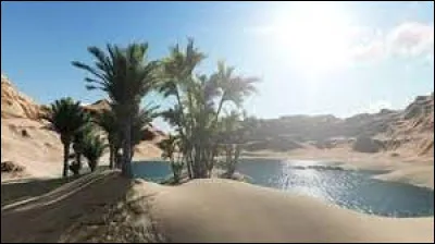 Que faut-il ajouter à "mir" pour obtenir le nom d'un phénomène optique pouvant produire l'illusion d'une nappe d'eau s'étendant à l'horizon ?