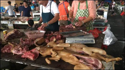En Chine, on peut trouver de la viande de chien.