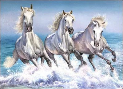 Le galop est une allure à combien de temps ?