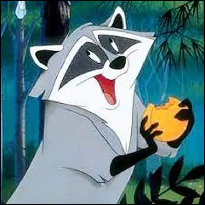 Dans quel classique danimation de Disney apparaît le raton-laveur Meeko ?