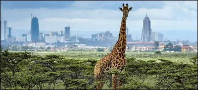 Quelle est la capitale du Kenya ?