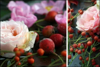 Nous le savons tous, la vieillesse est traître, sournoise... Une belle figure court bien le risque de s'enlaidir.
Selon une expression fleurie, l'image convient-elle ?