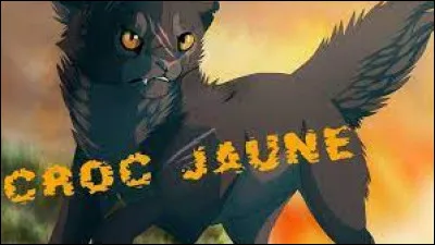 2- Croc Jaune : morte dans l'incendie, qui a-t-elle tenté de sauver ?