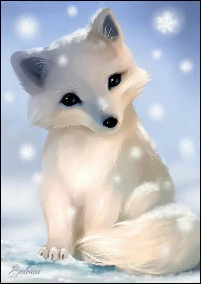 Comment appelle-t-on le cousin du renard roux, celui qui vit au pôle ?