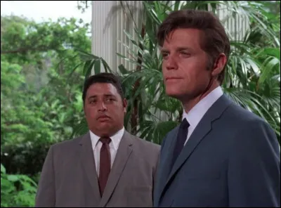 Quel est le nom du héros de la série ''Hawaï police d'État'' ?