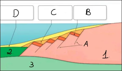 Complétez le schéma et donnez lui un titre :