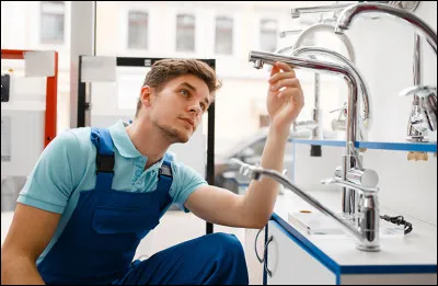 Qui chante ''Le Plombier'' en 1973 ?