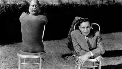 Quel est le titre de ce film de Tod Browning sorti en 1932 ?