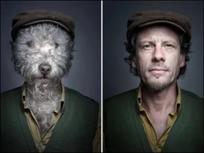 Quelle expression nous donne la photo ?