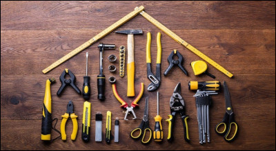 Qui chante ''Le Bricoleur'' en 1955 ?