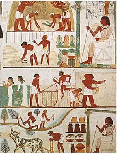 Qui &eacute;tait le taricheute dans l'ancienne &Eacute;gypte ?