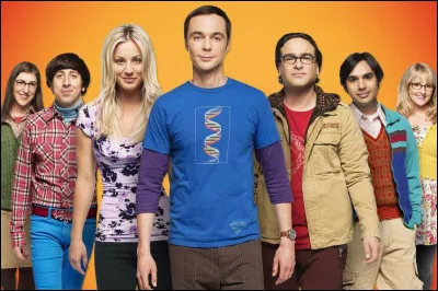 Quelle est la sp&eacute;cialit&eacute; de L&eacute;onard et Sheldon dans la s&eacute;rie ''The Big Bang Theory'' ?