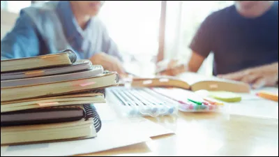 Que penserais-tu d'avoir des cours particuliers ? (Des cours chez toi faits par tes profs.)