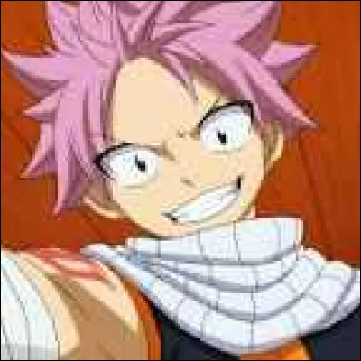 Comment sappelle le frère de Natsu ?