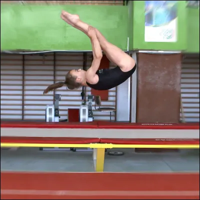 Quest-ce quun Barani ?