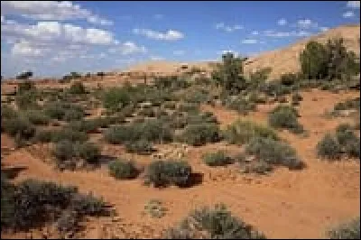 Quel adjectif qualifie un milieu aride de façon permanente ?