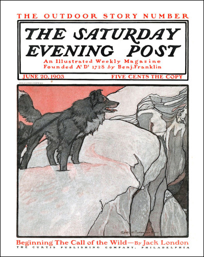 Quel est le nom du chien dans le roman ''L'Appel de la forêt'' ?