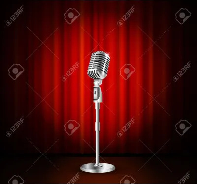 Matthieu Tota : chanteur, acteur, producteur, danseur... qui a rendu hommage à un monstre sacré de la chanson.