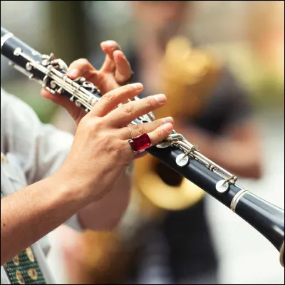 Allan Konigsberg : même si son goût, contestable, pour la clarinette lui a permis d'effectuer plusieurs concerts, c'est principalement comme réalisateur qu'il est connu.