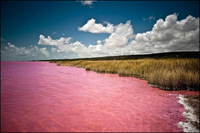 Dans quel pays peut-on voir ce lac rose ?