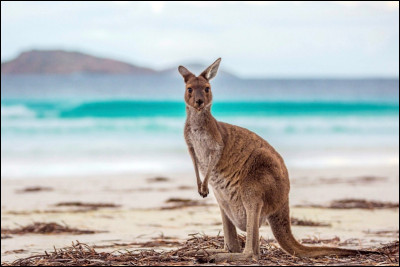 Quels océans bordent l’Australie ?