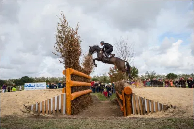Trouve laquelle de ses propositions n'est pas une discipline équestre.