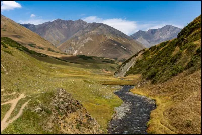 Les chevaux sauvages vivent