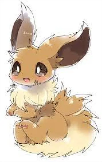 De quel type est Évoli ?