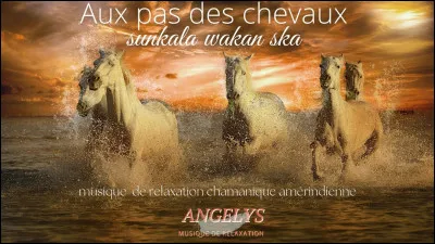 Quelle est la vitesse moyenne du pas ?