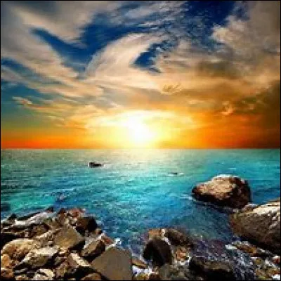 Dans le box, pour remplacer la paille, on peut mettre...