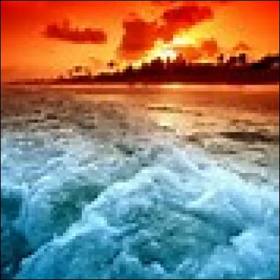 Le pas est une allure...