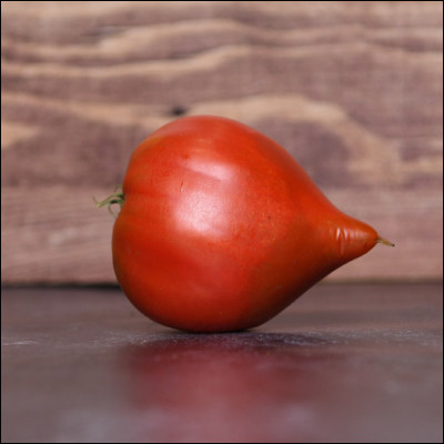 Complétez le nom de cette variété de tomate : Tomate téton...