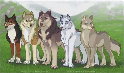 Suite question 3 : quelle image préfères-tu entre celles-là ?