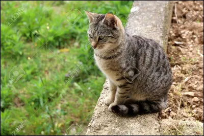 Qui &eacute;tait son apprenti ?