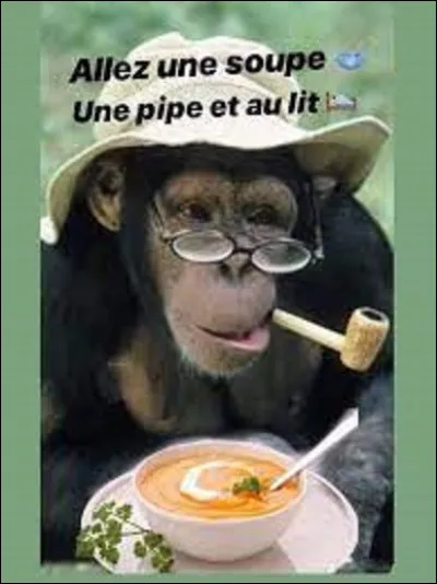 À base de quel légume est confectionné, essentiellement, le potage Saint-Germain ?