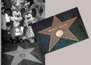 Quiz Culture g�n�rale en photos - 200