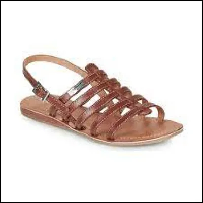 Que sont les tropéziennes ?