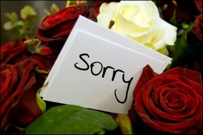 Comment dit-on "Mes excuses madame !" en portugais ?