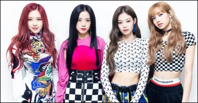 Dans un groupe de k-pop, tu te vois plutôt...