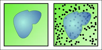 Voici une mise en pratique ! On cherche à estimer l'aire d'un étang contenu dans une parcelle carrée de 100m de côté. Une question facile tout d'abord : que vaut l'air du carré ?