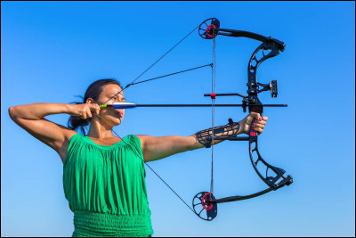 Comment appelle-t-on ce type d'arc ?