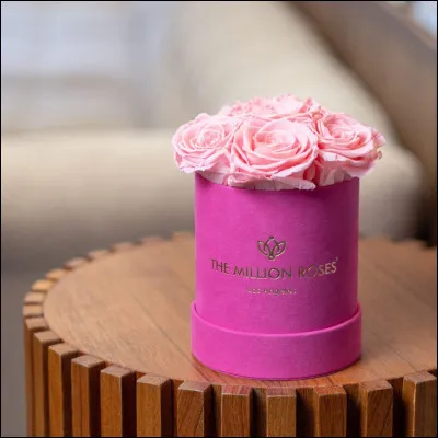 Ici, les fleurs sont :