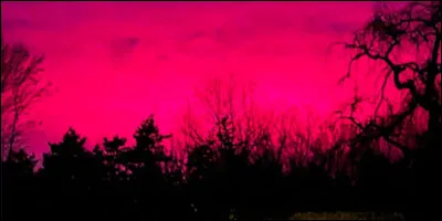 Qui est l'interprète de la chanson "La vie en rose" ?